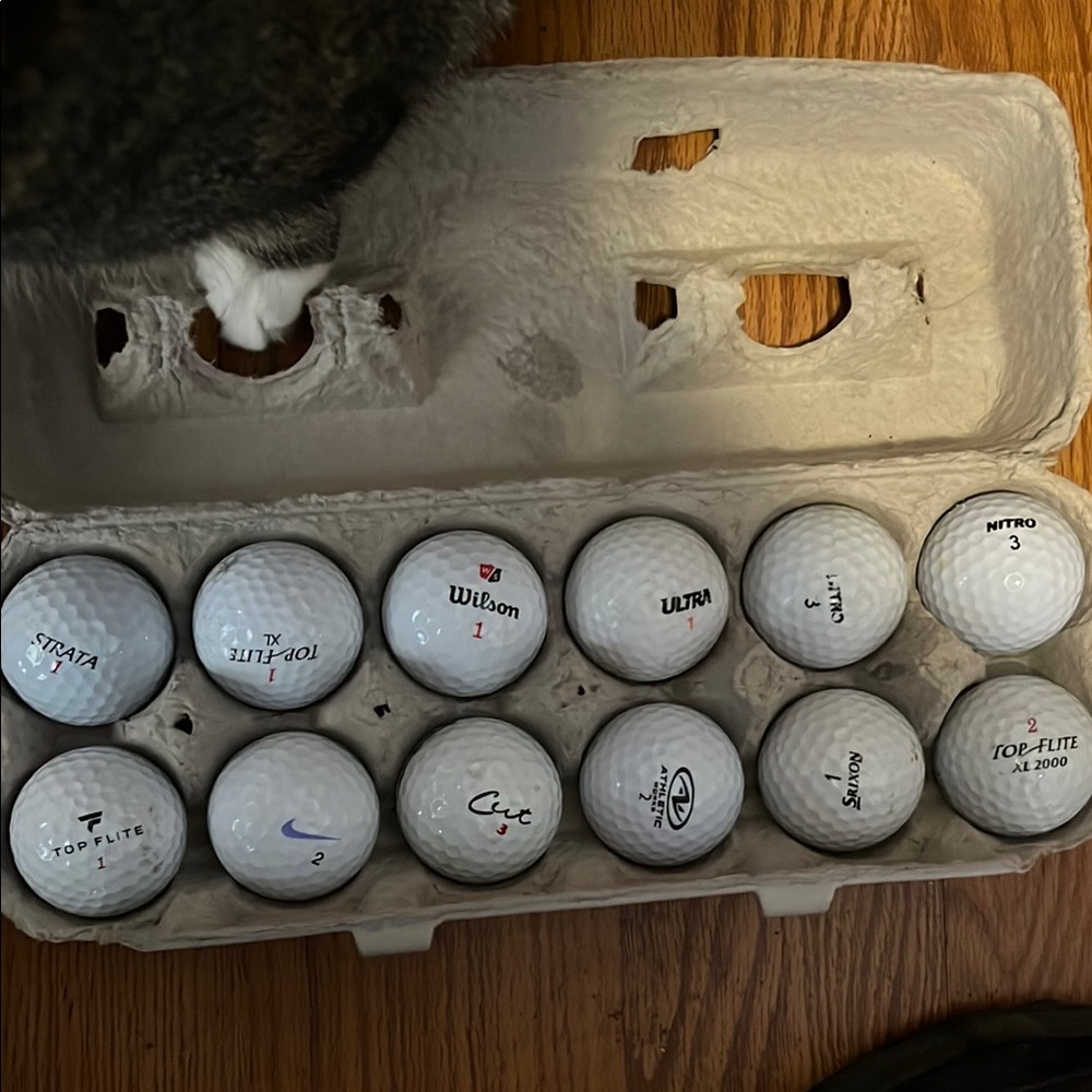 Assorted Used Golf Balls